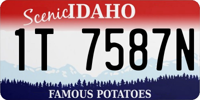 ID license plate 1T7587N