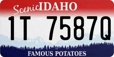 ID license plate 1T7587Q