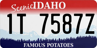 ID license plate 1T7587Z