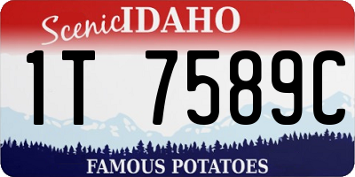ID license plate 1T7589C