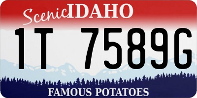 ID license plate 1T7589G