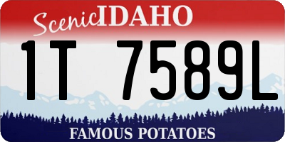 ID license plate 1T7589L