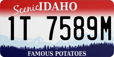 ID license plate 1T7589M