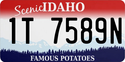 ID license plate 1T7589N