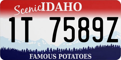 ID license plate 1T7589Z