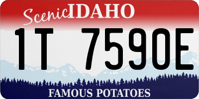 ID license plate 1T7590E