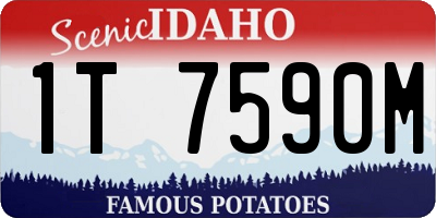 ID license plate 1T7590M