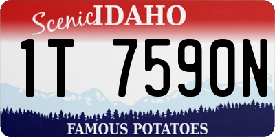 ID license plate 1T7590N
