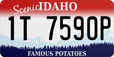 ID license plate 1T7590P
