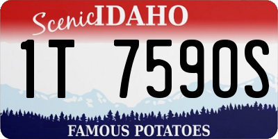 ID license plate 1T7590S