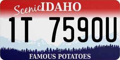 ID license plate 1T7590U