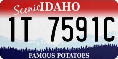 ID license plate 1T7591C