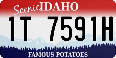 ID license plate 1T7591H