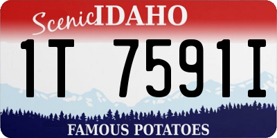 ID license plate 1T7591I