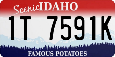 ID license plate 1T7591K