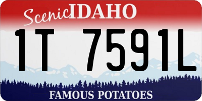 ID license plate 1T7591L