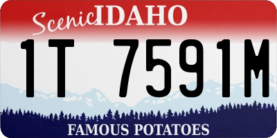 ID license plate 1T7591M
