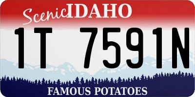 ID license plate 1T7591N