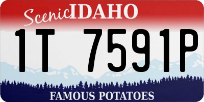ID license plate 1T7591P
