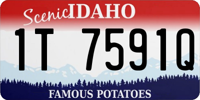 ID license plate 1T7591Q
