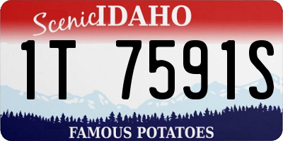 ID license plate 1T7591S