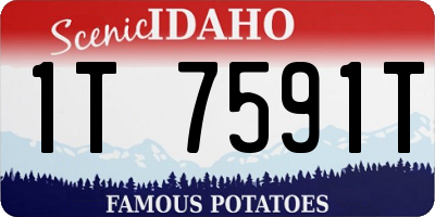 ID license plate 1T7591T