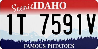 ID license plate 1T7591V