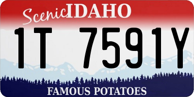 ID license plate 1T7591Y