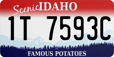 ID license plate 1T7593C