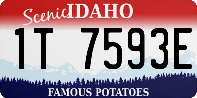 ID license plate 1T7593E