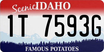 ID license plate 1T7593G