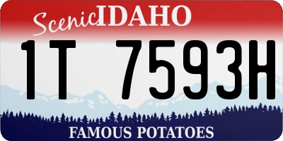 ID license plate 1T7593H