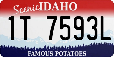 ID license plate 1T7593L