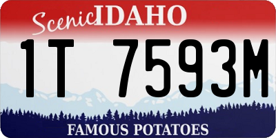 ID license plate 1T7593M