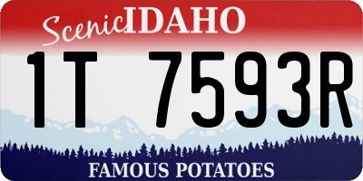 ID license plate 1T7593R