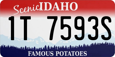 ID license plate 1T7593S