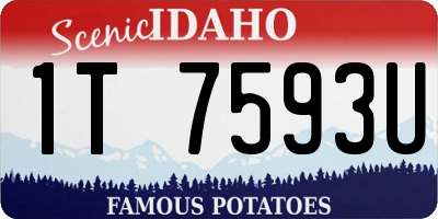ID license plate 1T7593U