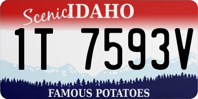 ID license plate 1T7593V