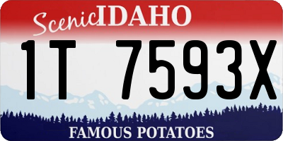 ID license plate 1T7593X