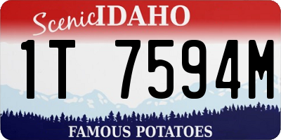 ID license plate 1T7594M