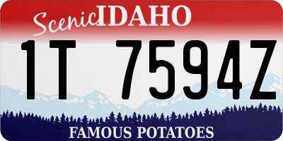 ID license plate 1T7594Z