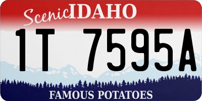 ID license plate 1T7595A