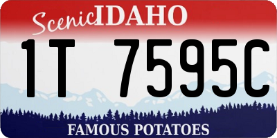 ID license plate 1T7595C