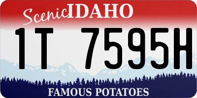 ID license plate 1T7595H