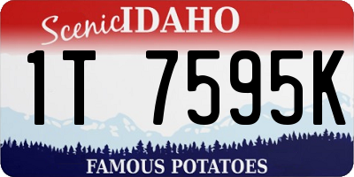 ID license plate 1T7595K
