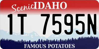 ID license plate 1T7595N