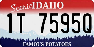 ID license plate 1T7595Q