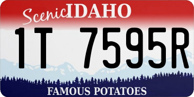 ID license plate 1T7595R