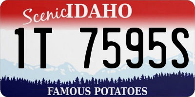 ID license plate 1T7595S