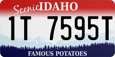 ID license plate 1T7595T